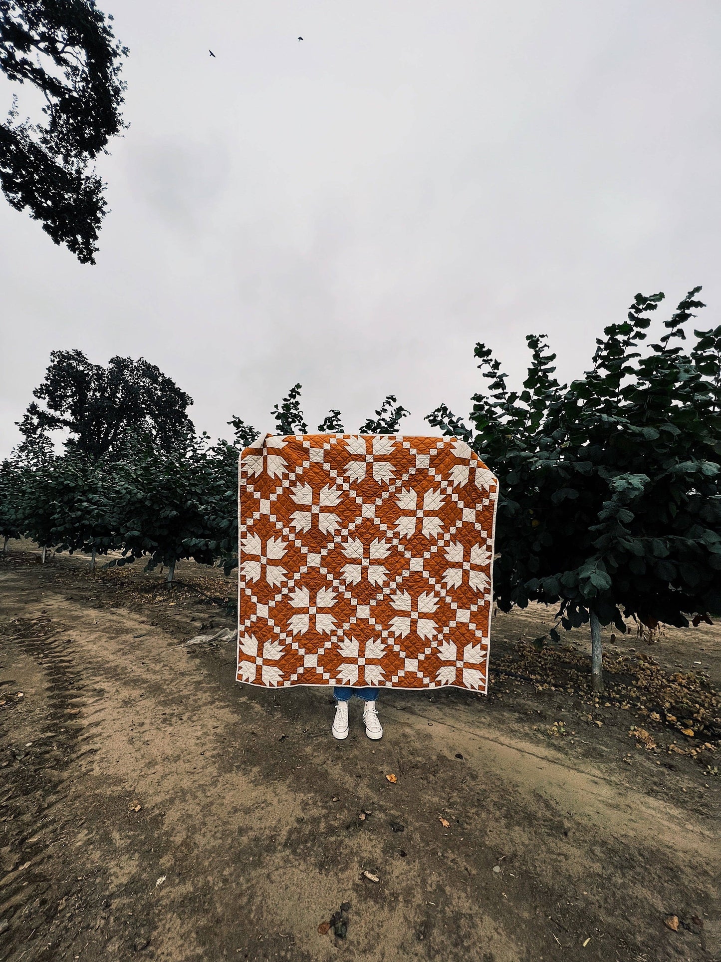 Archie Quilt Pattern | Paper Version
